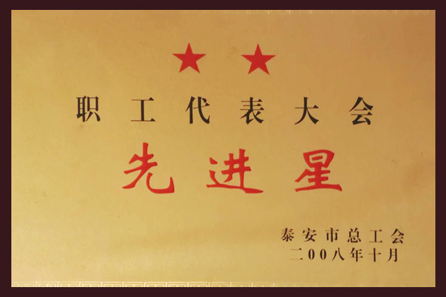 職工代表大會先進星