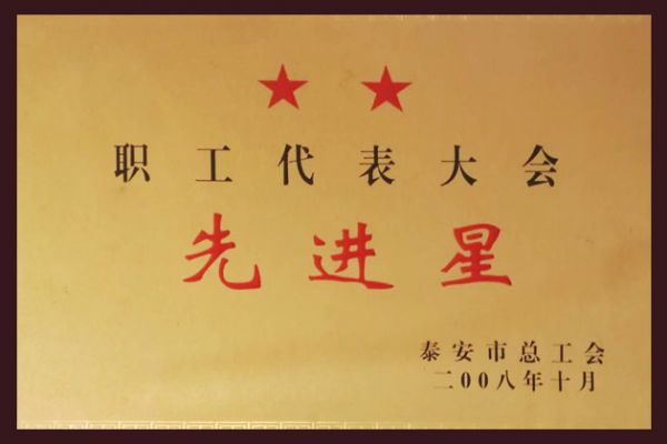 職工代表大會先進星
