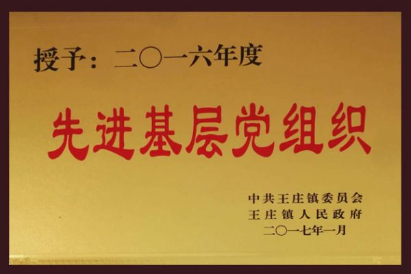 2016年度先進基層黨組織