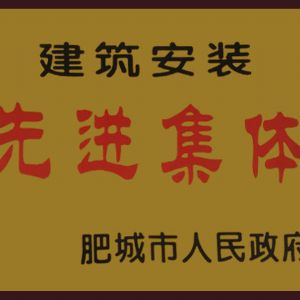 先進集體
