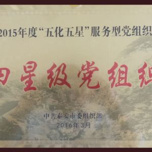 四星級黨組織