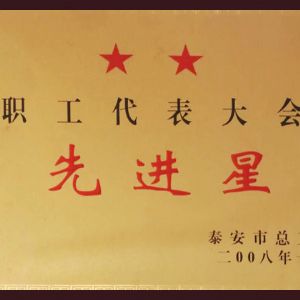 職工代表大會先進星