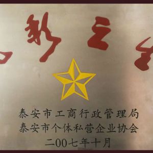 光彩之星