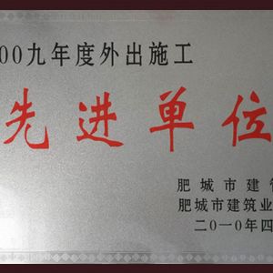 2009年度外出施工先進單位