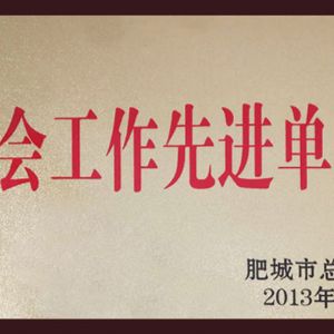 工會(huì)工作先進(jìn)單位