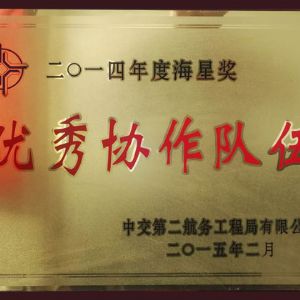 2014年度海星獎(jiǎng)協(xié)作隊(duì)伍
