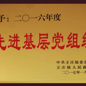 2016年度先進基層黨組織