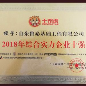 2018年度綜合實力企業十強