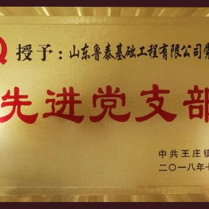 先進黨支部